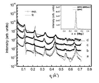 DPPC/DPPS 혼합 다중층막에서 DPPS의 함유량에 따른 X RR VS scattering vector qz (28°C) (a) pure DPPC, (b)(DPPC/DPPS) = 7: 3, (c) (DPPC/DPPS) = 3:7, and (d) pure DPPS