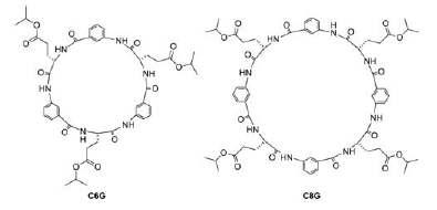 본실험에 사용된 6개의 펩타이드결합이 있는 C6G 분자와 8개의 펩타이드결합이 있는 C8G 화학구조
