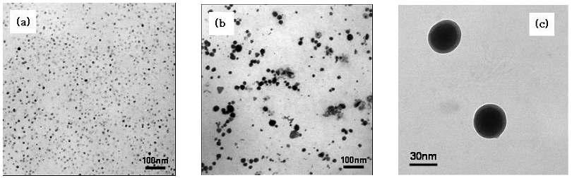 (a) PVC-g-PSSA/Ag 와 (b, c) PVC-g-PSSA/AgAu 필름의 투과전자현미경 사진