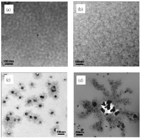 (a) Na+형태의 PVC-g-PSSA와 Ag+형태의 PVC-g-PSSA를 이용하여 반응시간을 (b) 1시간, (C) 5시간 (d) 18시간으로 하여 형성된 은 나노입자의 TEM 사진.