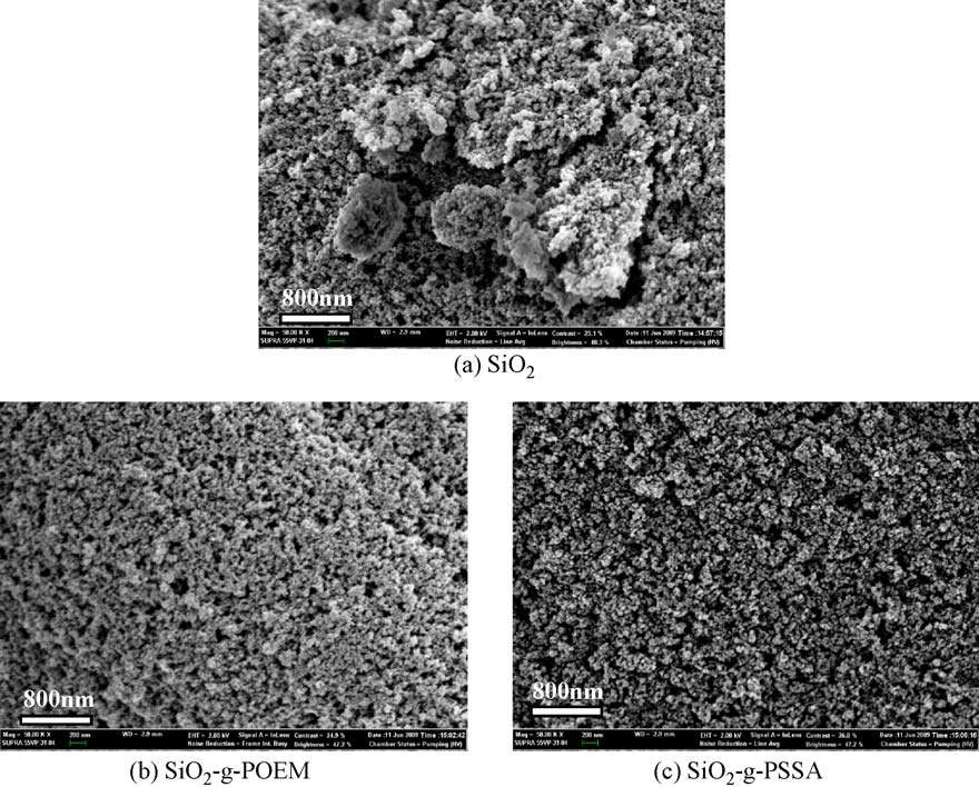 SiO2 nanoparticle, 하이브리드 유무기 복합 물질 SiO2-POEM, SiO2-PSSA의 주사 전자 현미경 사진