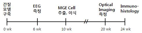 실험 스케쥴을 나타낸 개요도.