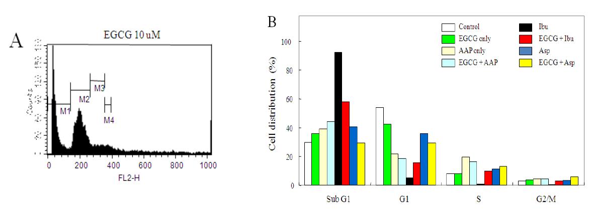 Cell cycle analysis of HCT116 cells treated with EGCG in the absence or presence of the over-the-counter drugs.