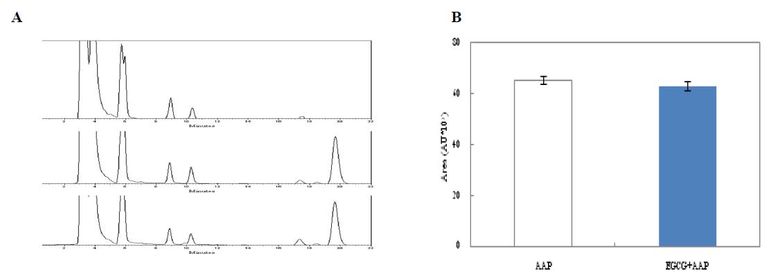 Effect of EGCG on intracellular level of AAP.