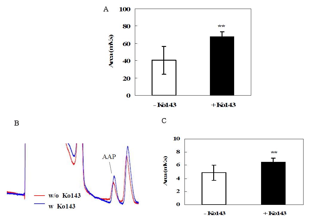 Effects of BCRP inhibitor-Ko143 on intracellular level of EGCG (A) and AAP (B and C).