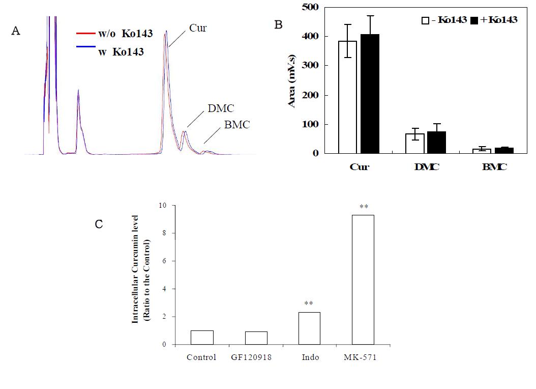 Effects of different efflux transporter inhibitors on intracellular curcumin level.