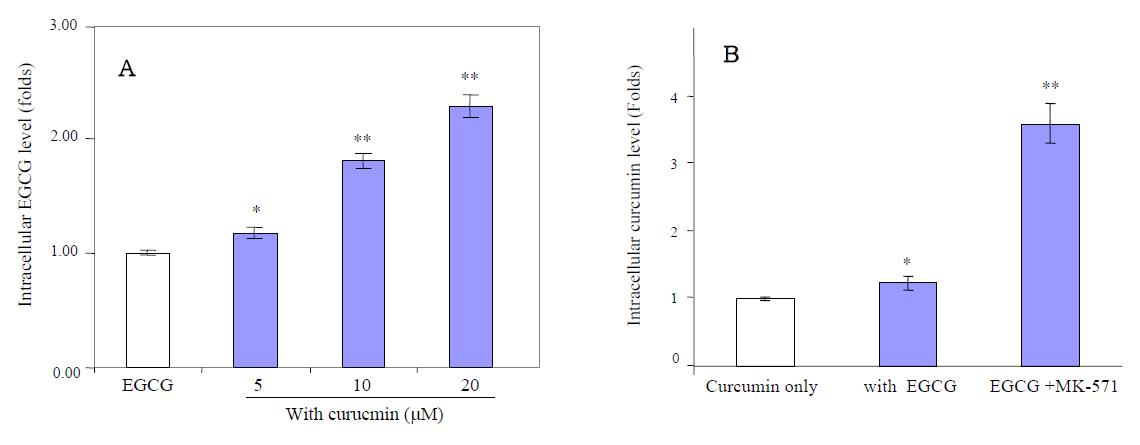 Effects of EGCG or curcumin on intracellular curcumin levels of the alternative compound.