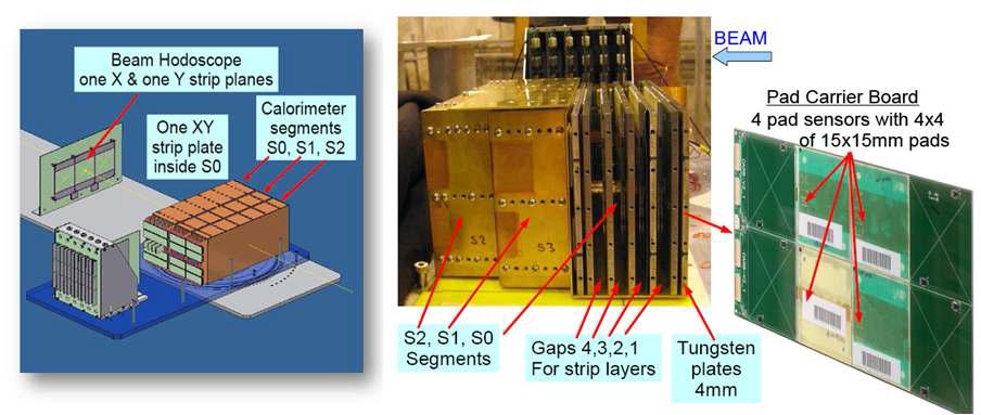 Test beam Setup