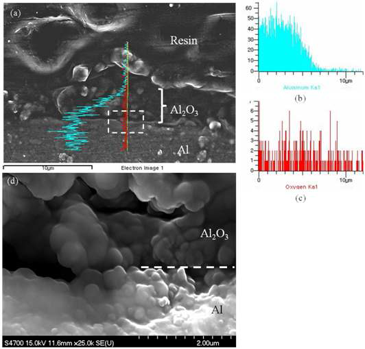 (a) 알루미늄 기판 위에 알루미나 분 말을 분사한 뒤 단면을 관찰한 사진. 경계면에 대한 EDX 분석 결과는 오른쪽에 제시되어 있 다. (b) 알루미늄 peak. (c) 산소 peak. (d) 단면을 고배율로 관찰한 사진.