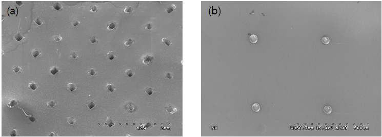 (a) EDM을 통해 제조된 니들, (b) LIGA 프로세스를 통해 제조된 Al seed layer