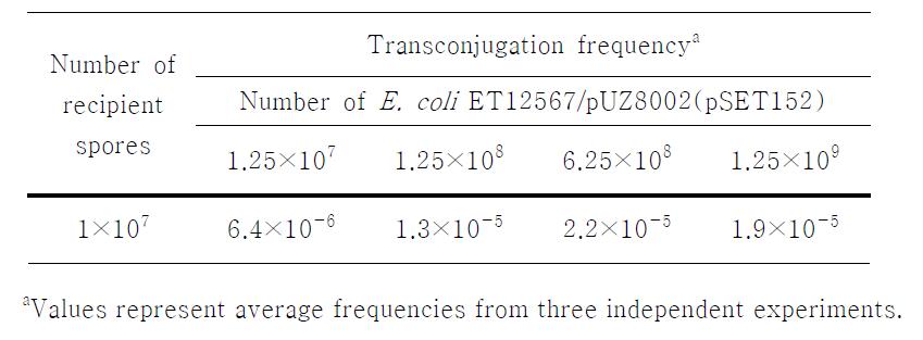 Effects of the number of E. coli donor cells on transconjugation efficiency.