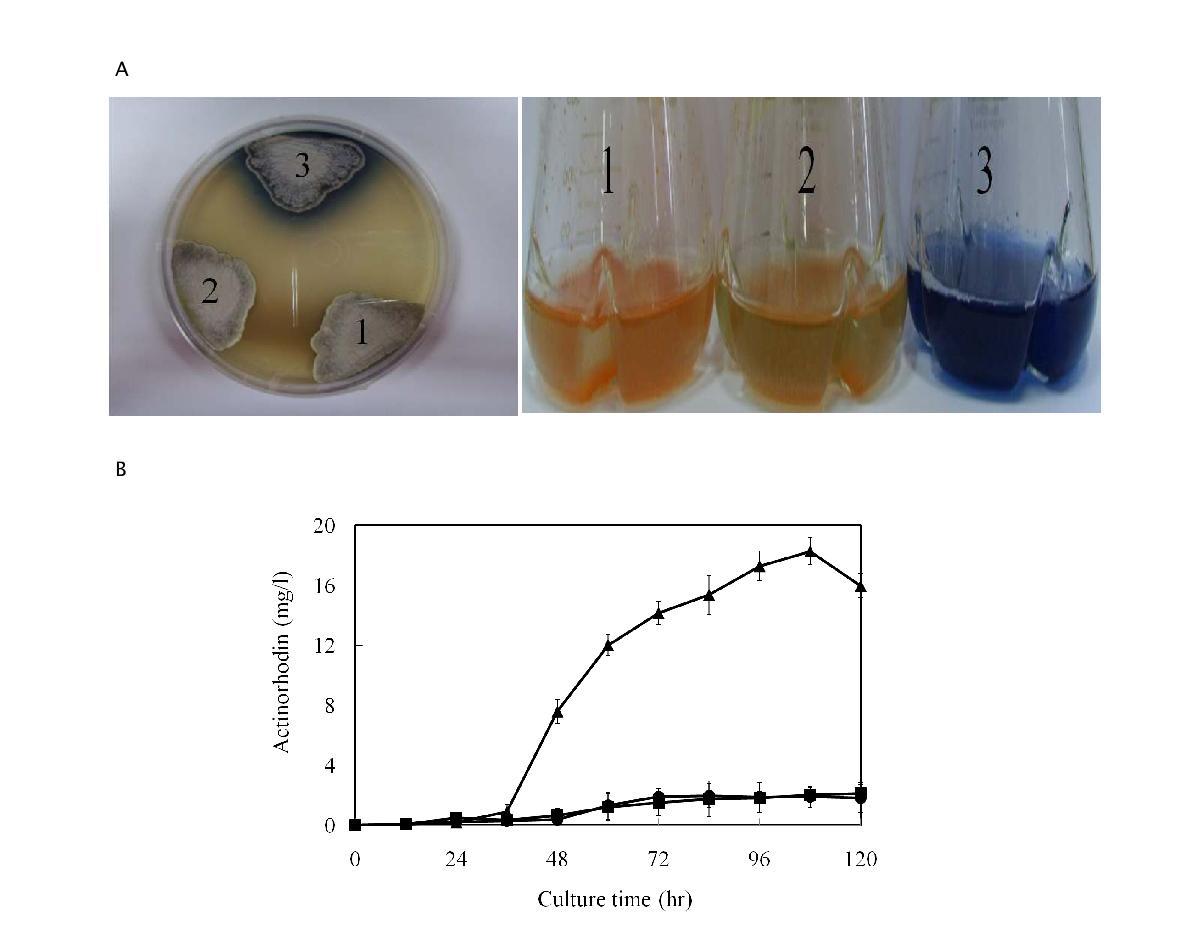 Effect of the introduction of high expression vector on the production of actinorhodin (blue color) in S. lividans TK24.