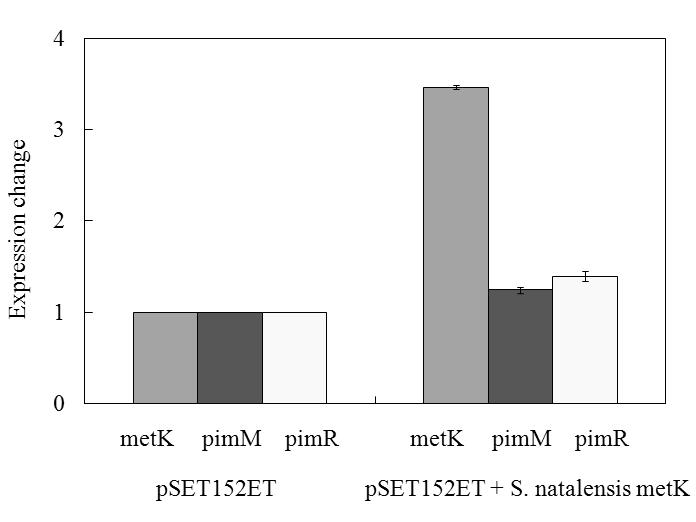 Transcriptional comparison of metK, pimM, and pimR from the pSET152ET-integrated S. natalensis as control and pSET152ET-metK -integrated S. natalensis by real-time qRT-PCR. The lysA gene was used as the reference gene. The error bars indicate the standard deviations from the means.