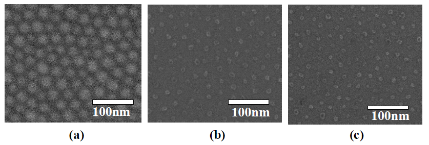 Diblock copolymer micelle을 이용하여 형성된 Co 나노입자의 전자현미경 사진