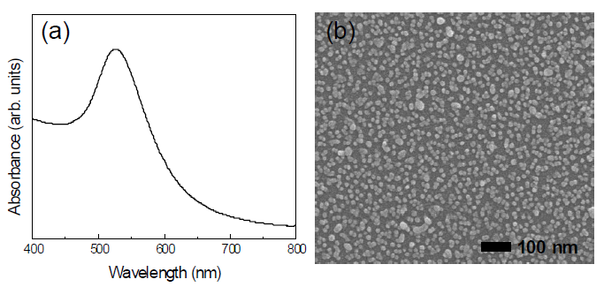 (a) Au 콜로이드 용액의 UV-VIS 흡수 스펙트럼. (b) 형성된 금 나노입자 정보저장층