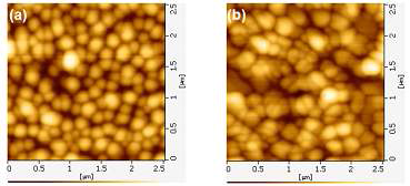 PVP 표면 처리 유무에 따른 pentacene 박막의 AFM images.