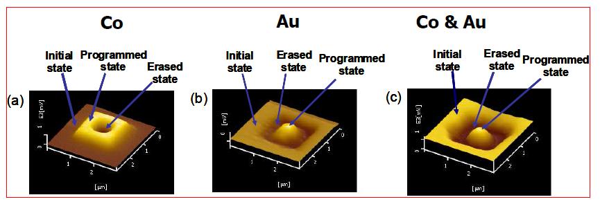 잘 배열된 단일 나노입자 (Co, Au) 및 이종의 나노입자가 혼합된 정보저장층을 이용한 메모리 소자의 Kelvin force porbe microscopy를 이용하여 나노크기에서도 프로그램/소거 동작이 가능함을 보여주는 이미지.