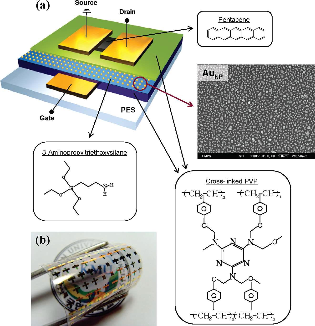 (a) 메모리 소자 구조의 삼차원 개략도. PES 플라스틱 기판 위에 패터닝 된 Ti/Au는 게이트 전극으로 사용되었고 가교결합된 PVP층은 블로킹과 터널링 유기 절연층으로 사용되었다. 자기 정렬된 금 나노입자 정보저장층은 APTES가 코팅된 PVP 블로킹 절연층 위에 형성되었다. pentacene 활성층과 Au 소오스/드레인 전극은 유기 트랜지스터 기반의 메모리 소자를 완성하기 위해 사용되었다. 유기 절연층의 화학구조는 그림에 보이는 바와 같다. (b) 실제로 제작된 플렉서블 유기 메모리 소자의 사진.