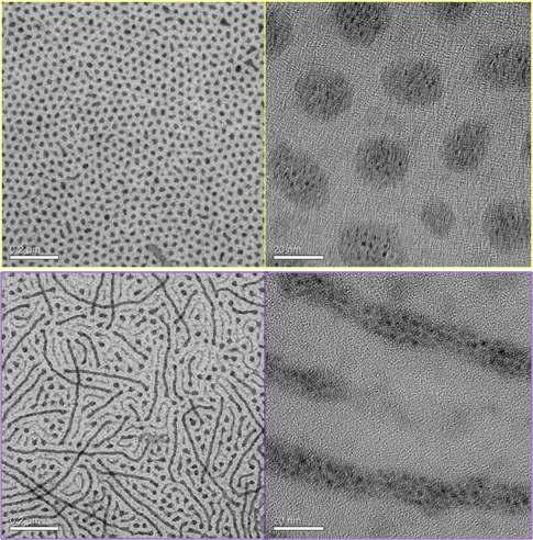 자기조립고분자-금-이산화티타늄 하이브리드 나노점(위) 또는 나노선(아래) 배열의 TEM image