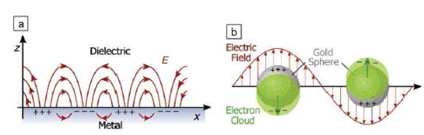 (a) 전파형 표면 플라즈몬 (propagating surface plasmon) (b) 국부적 표면 플라즈몬 (localized surface plasmon)