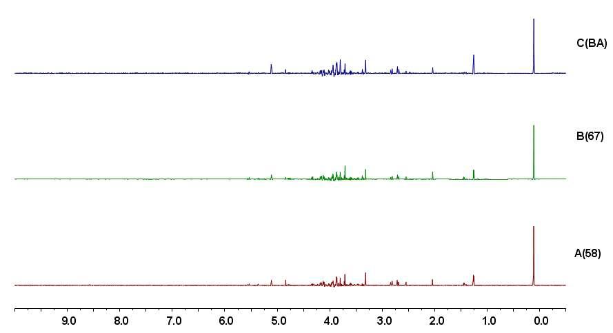 3종 청국장 발효 12시간 aqueous fraction 1H NMR spectrum 비교