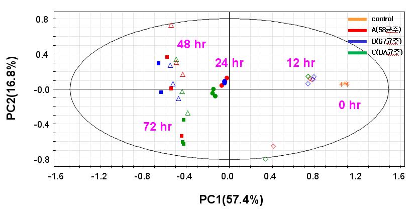 3종 표준제조 청국장 aqueous fraction 균주별, 발효진행별 PCA score plot