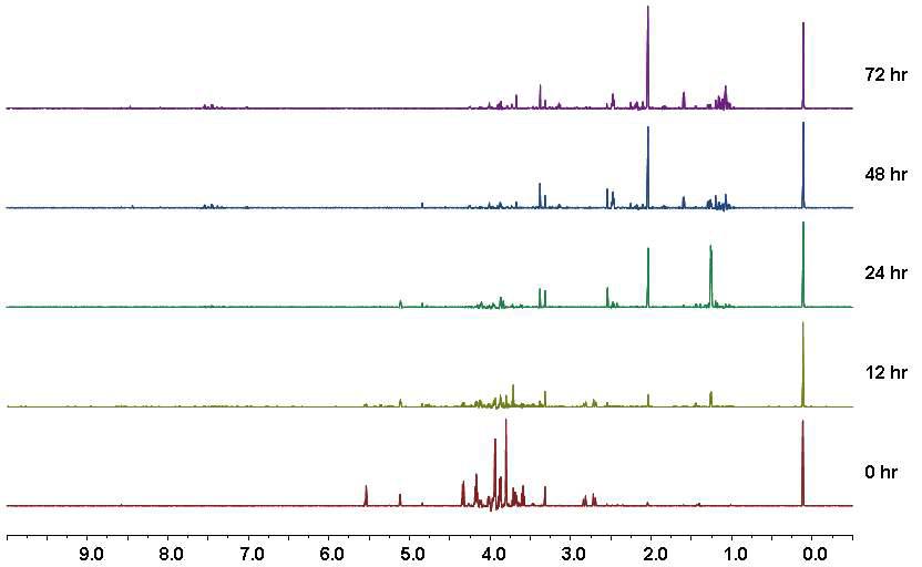 표준제조 청국장(B)의 발효 시간별 NMR spectra 변화