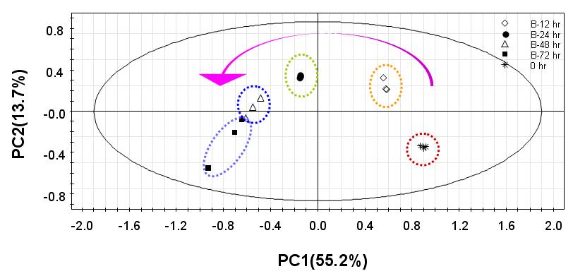 표준제조 청국장 발효 시간별 metabolome profiling 의 변화를 나타내는 PCA score plot