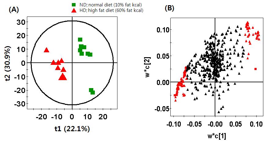 A PLS-DA score scatter plots (A) and a loading plots (B) of the first two components for normal diet and high fat diet by the associated negative mode of RP-LC/MS analysis