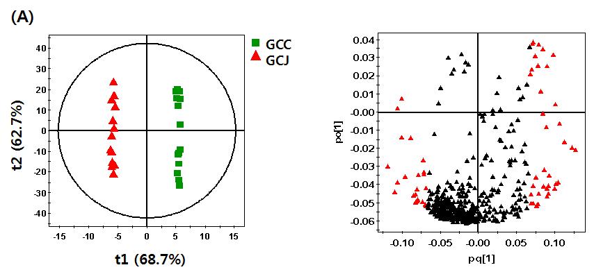 A OPLS-DA score scatter plots (A) and a loading plots (B) of the first two components for GCC and GCJ groups by the associated negative mode of RP-LC/MS analysis.