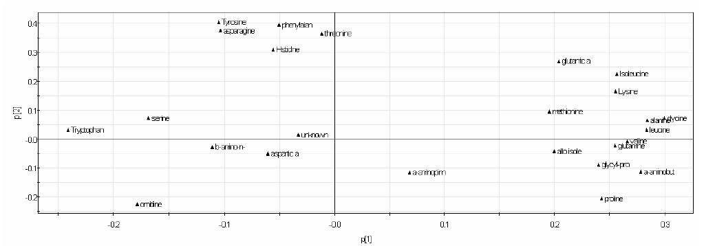 주성분분석에 의한 발효단계별 된장 metabolomic profiling 의 변화를 나타내는 loading plot.
