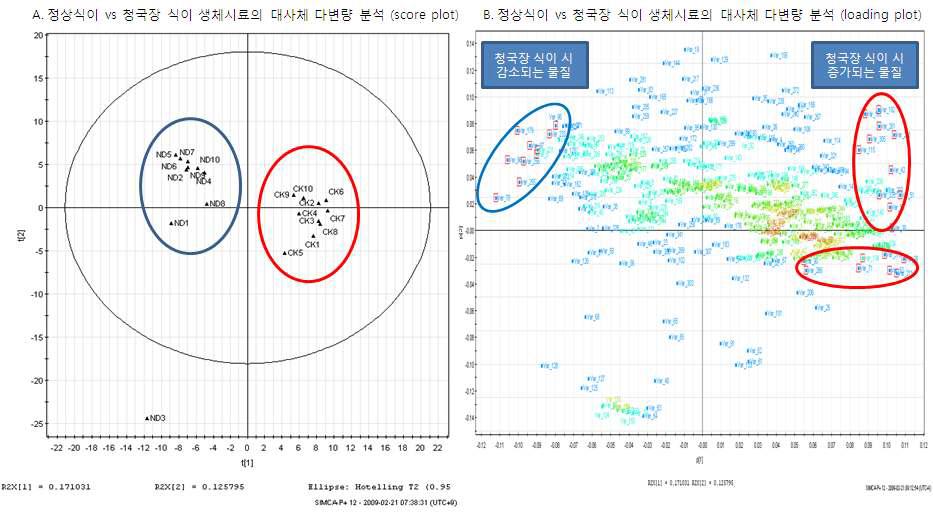 정상 식이와 청국장 식이 생체 시료의 대사체 다변량 분석