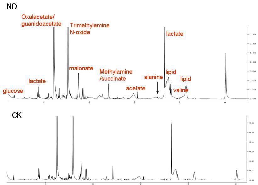 청국장 추출물 섭취한 mouse plasma 시료의 대표적인 1H NMR spectrum