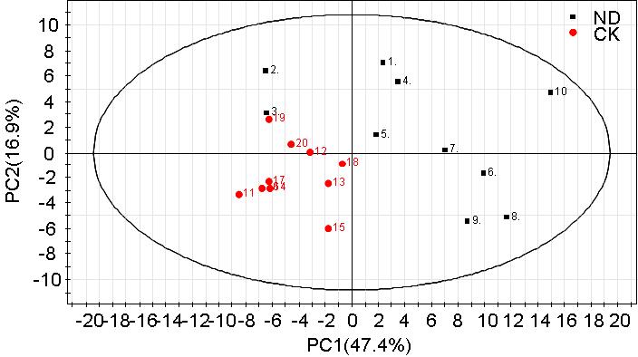 주성분분석에 의한 청국장 추출물 섭취한 mouse plasma 시료 metabolomic profiling 의 변화를 나타내는 PLS-DA score plot