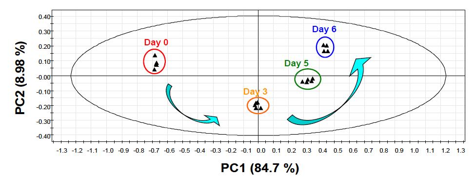 주성분분석에 의한 표준제조메주 발효전환 metabolomic profiling 의 변화를 나타내는 PCA score plot