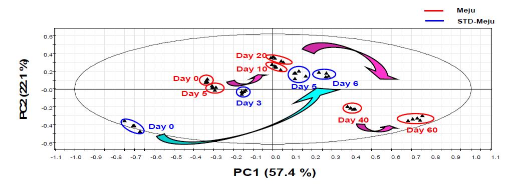 주성분분석에 의한 전통발효메주와 표준제조메주의 발효전환 metabolomic profiling 의 변화를 나타내는 score plot