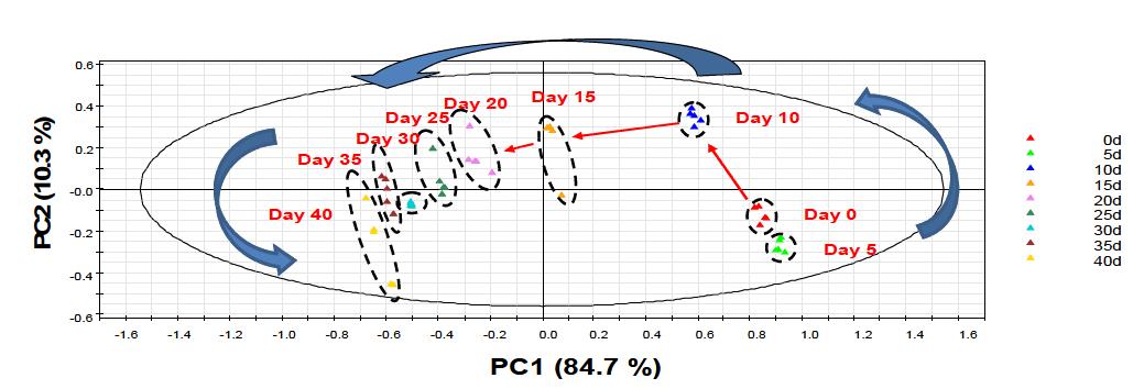 주성분분석에 의한 표준제조청국장 발효전환 aqueous fraction metabolomic profiling 의 변화를 나타내는 score plot