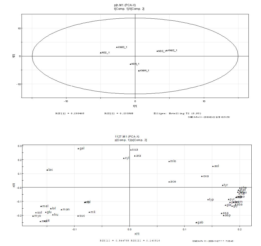 전통메주를 섭취한 mouse plasma sample과 보통식이를 한 mouse plasma sample의 주성분분석법을 통한 Score plot 과 loading plot