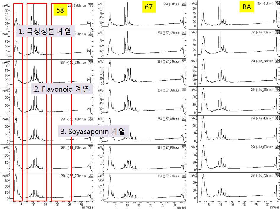 균주별, 발효별 LC 크로마토그램