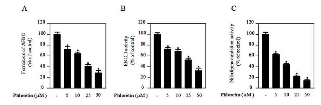 Phloretin decreased the formation of AFBO through its inhibitory effects on CYP1A2 and CYP3A4 activities.