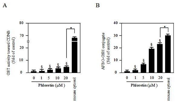 Increase of GST activity by phloretin in AML 12 cells. Cells were treated with the indicated concentrations of phloretin for 18 h and were then lysed.