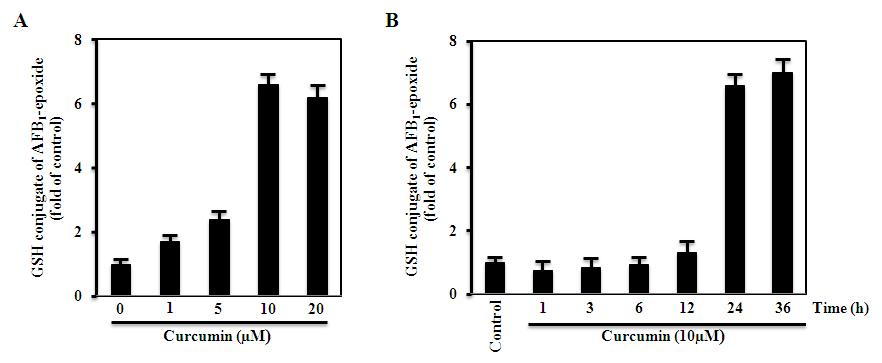 Increase of GST activity by curcumin in AML-12 cells. Cells were treated with the indicated dose of curcumin for 24h (A) or 10 μM curumin for the indicated time (B). The cell lysates were incubated with AFB1, human liver microsomes, an NADPH-generating system, and 5 mM GSH. GST activity toward AFBO was detected by HPLC.