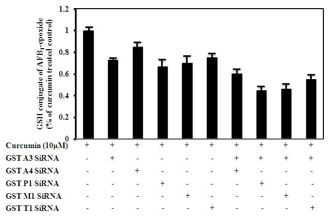 The effects of siRNA against GST isozymes on GST activity toward AFBO in AML 12 cells. Cells were transfected with siRNA against GST isozymes. After overnight transfection, cells were treated with 10 μM curcumin for 24 hour and were then lysed The cell lysates were incubated with AFB1, human liver microsomes, an NADPH-generating system, and 5 mM GSH. GST activity toward AFBO was detected by HPLC.