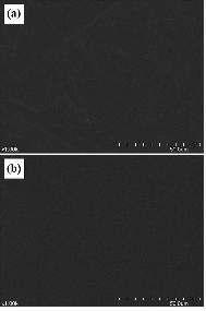 (a) PMMA/실리카 (DMDES) 및 (b) PMMA/실리카 TEOS) 나노복합체의 주사전자현미경 사진