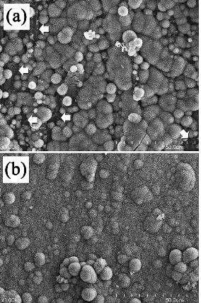 a) PMMA/실리카 (DMDES) 및 (b) PMMA/실리카 (TEOS) 나노복합체를 의사체액 중에 일주일 간 침적 후의 주사전자현미경 사진