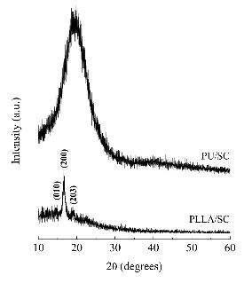 PLLA/칼슘실리케이트(CS) 복합체와 PU/CS 복합체의 XRD 분석 결과