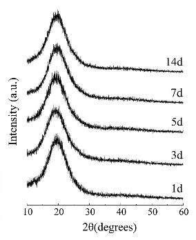 비분해성 PU/CS 복합체를 의사체액 중에 (a) 1, (b) 3, (c) 5, (d) 7, 및 (e) 14일 동안 침적 후의 TF-XRD 분석결과