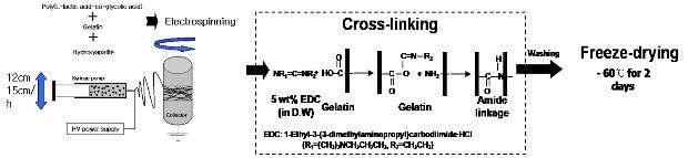 Gelatin/PLGA/Hydroxyapatite의 나노섬유 지지체의 제작 과정