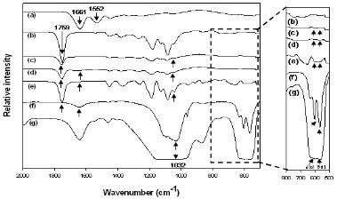 Gelatin/PLGA/Hydroxyapatite의 nanofiber 지지체 표면의 ATR-FTIR 분석 (a) PGH-6, (b) PGH-1, (c) PGH-2, (d) PGH-3, (e) PGH-4,(f) PGH-5, (g) Hydroxyapatite 분말