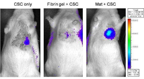 CSC-mat의 in vivo live 영상 사진.